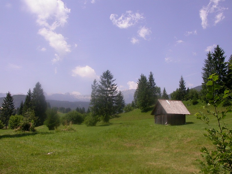 Bohinjska Bistrica 6 - the high meadows.JPG